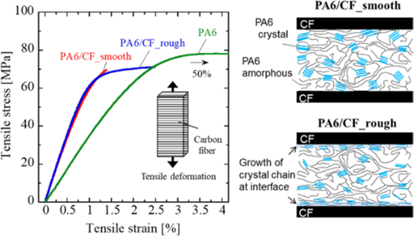 Mechanical behavior of unidirectional carbon fiber-reinforced polyamide 6 composites under transverse tension and the structure of polyamide 6 among carbon fibers