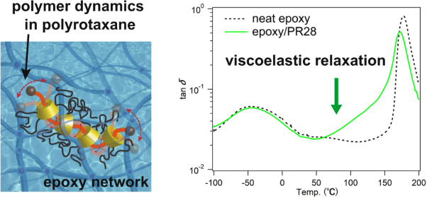 Viscoelastic relaxation attributed to the molecular dynamics of polyrotaxane confined in an epoxy resin network