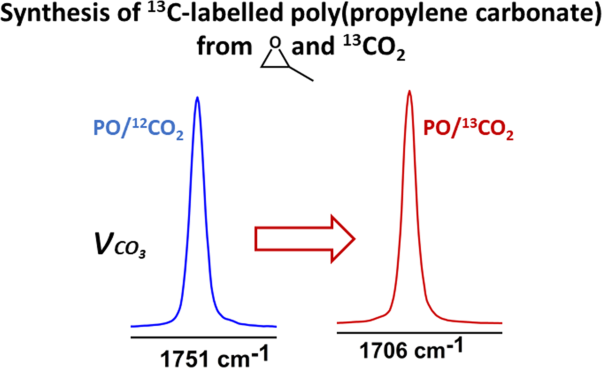 Copolymerization of propylene oxide and <sup>13</sup>CO<sub>2</sub> to afford completely alternating regioregular <sup>13</sup>C-labeled Poly(propylene carbonate)