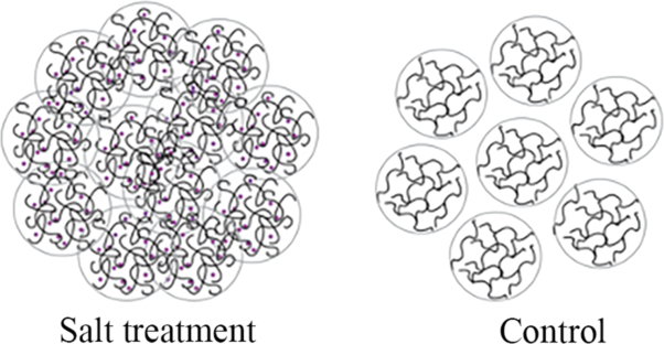 One-step preparation and characterization of silk nano- and microspheres