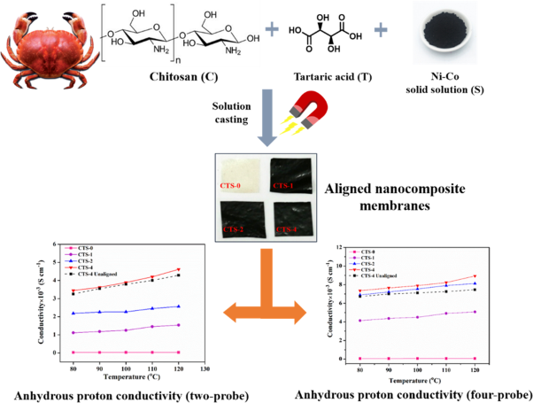 Enhanced self-humidification and proton conductivity in magnetically aligned NiO-Co<sub>3</sub>O<sub>4</sub>/chitosan nanocomposite membranes for high-temperature PEMFCs