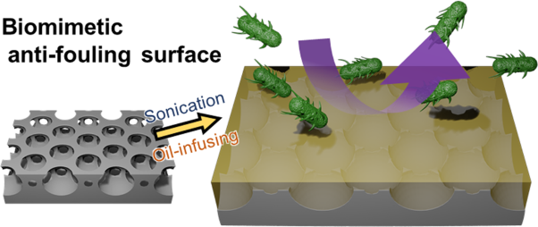 Biomimetic antibiofouling oil infused honeycomb films fabricated using breath figures