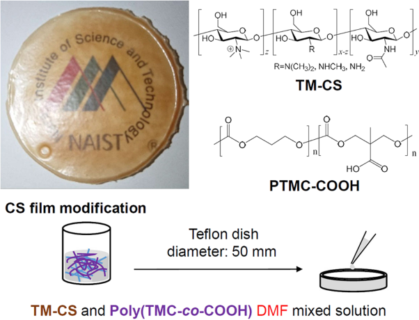 Fabrication of flexible blend films using a chitosan derivative and poly(trimethylene carbonate)