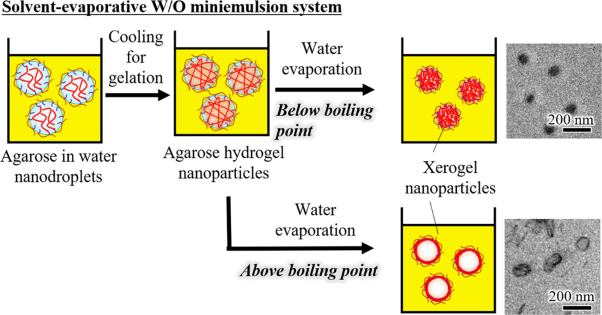 Preparation of agarose xerogel nanoparticles by solvent evaporation from water nanodroplets