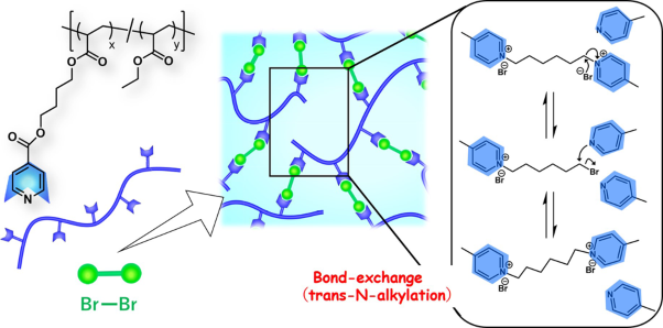 Simple preparation, properties, and functions of vitrimer-like polyacrylate elastomers using trans-N-alkylation bond exchange