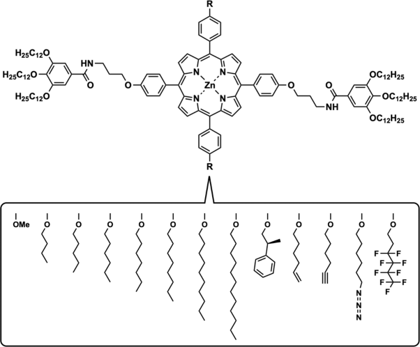 A case study of monomer design for controlled/living supramolecular polymerization