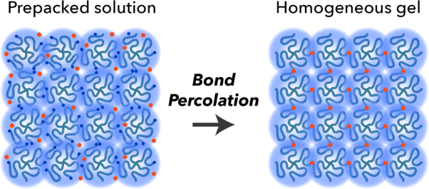 A benchmark for gel structures: bond percolation enables the fabrication of extremely homogeneous gels