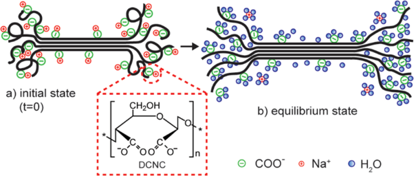 Development of functionalized nanocrystalline cellulose-based polyelectrolytes with high water uptake