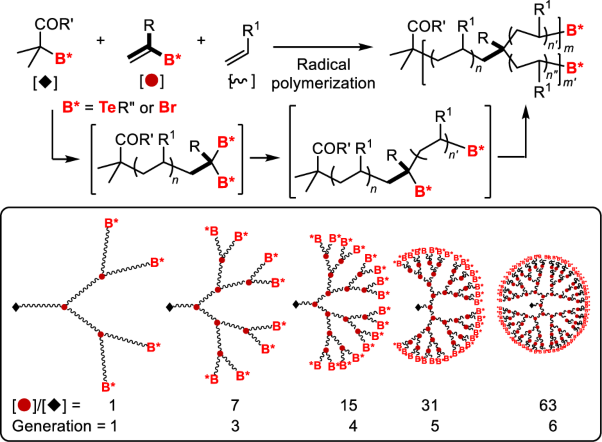 Practical synthesis of dendritic hyperbranched polymers by reversible deactivation radical polymerization