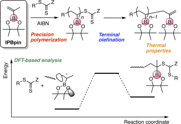 RAFT polymerization of isopropenyl boronate pinacol ester and subsequent terminal olefination: precise synthesis of poly(alkenyl boronate)s and evaluation of their thermal properties