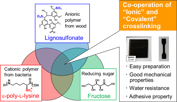 Biobased and mechanically stiff lignosulfonate/cationic-polyelectrolyte/sugar complexes with coexisting ionic and covalent crosslinks