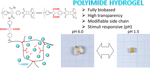Synthesis of pH-responsive polyimide hydrogel from bioderived amino acid