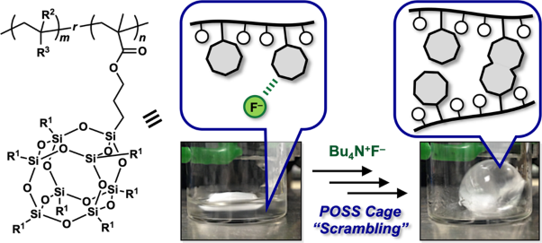 POSS cage-scrambling-induced gelation of POSS-pendant random copolymers catalyzed by fluoride anions