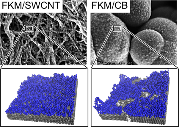 Molecular picture of fluoropolymer adsorption on nanocarbon materials