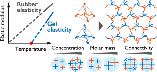 Linear elasticity of polymer gels in terms of negative energy elasticity