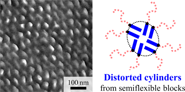 Preparation and distorted cylindrical morphology of block copolymers consisting of flexible and semiflexible blocks