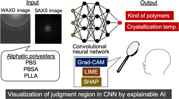 Visualization of judgment regions in convolutional neural networks for X-ray diffraction and scattering images of aliphatic polyesters