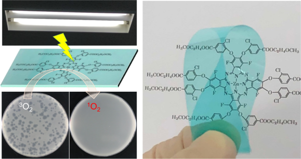 Fabrication and evaluation of durable, optically clear, and self-disinfecting films