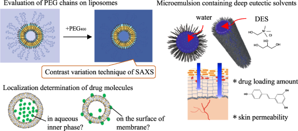 Evaluation of the supramolecular structure of drug delivery carriers using synchrotron X-ray scattering