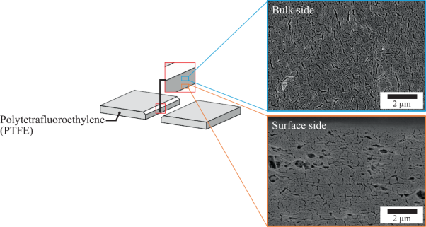 Cross-sectional observation of a weak boundary layer in polytetrafluoroethylene (PTFE) using scanning electron microscope