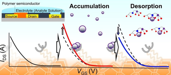 Chemical sensing based on water-gated polythiophene thin-film transistors