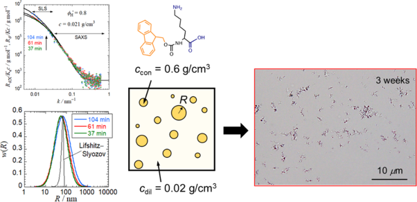 Liquid-liquid phase separation and self-assembly of a lysine derivative Fmoc-L-lysine in water-DMSO mixtures