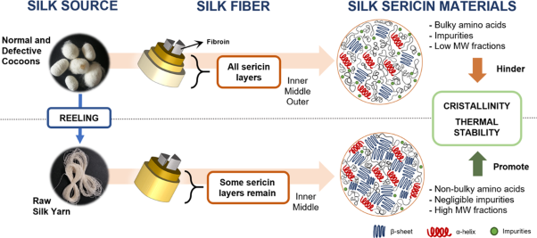 Boosting sericin extraction through alternative silk sources