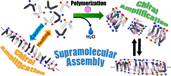 Chiral amplification of supramolecular coassemblies of chiral and achiral acylhydrazine-functionalized biphenyls and their copolymers