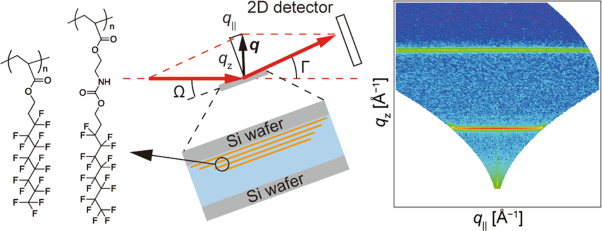Water modulates the lamellar structure and interlayer correlation of poly(perfluorooctyl acrylate) films: a specular and off-specular neutron scattering study