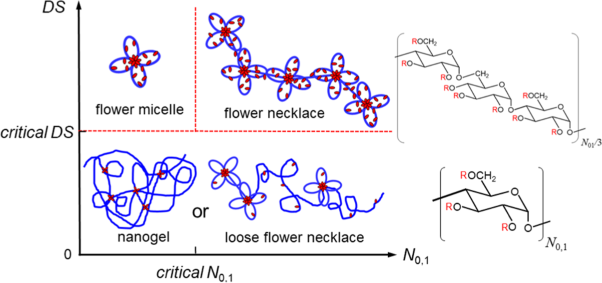 Micellar structure of hydrophobically modified polysaccharides in aqueous solution