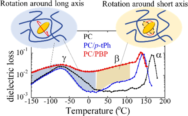 Anisotropic rotational dynamics of rod-like low-mass molecules in polycarbonate