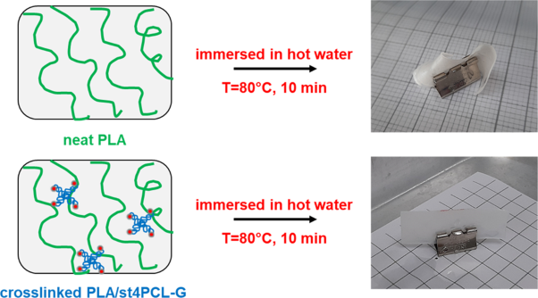 Thermal crosslinking of polylactide/star-shaped polycaprolactone for toughening and resistance to thermal deformation