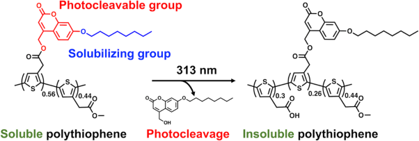 Photocleavage behavior of a polythiophene derivative containing a coumarin unit