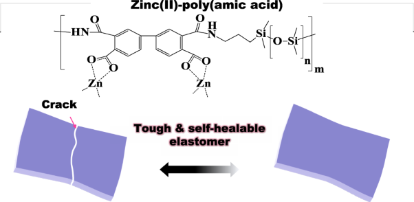 Highly transparent, stretchable, and self‐healing polymers crosslinked by dynamic zinc(II)-poly(amic acid) bonds