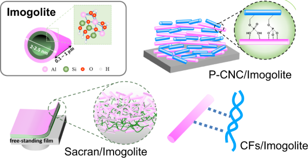 Structure and properties of polysaccharide/imogolite hybrids