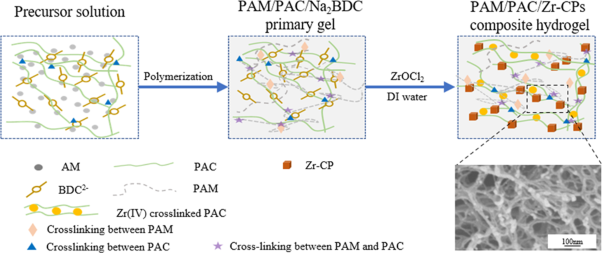 Green synthesis of polyacrylamide/polyanionic cellulose hydrogels composited with Zr-based coordination polymer and their enhanced mechanical and adsorptive properties