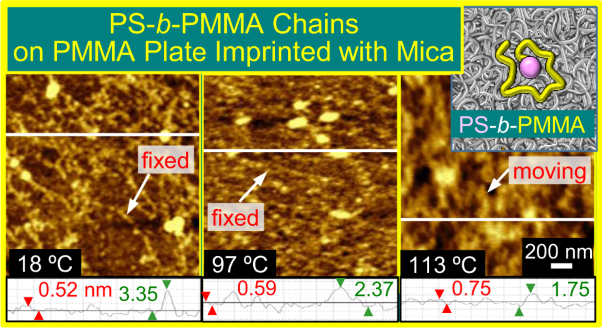 Chain movements of a molecularly flat PMMA substrate surface prepared by thermal imprinting with mica and isolated PMMA chains deposited on the PMMA substrate observed by AFM around the bulk <i>T</i><sub>g</sub>