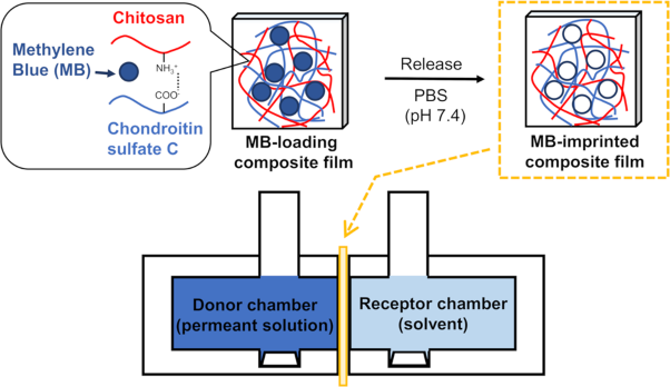 Control of the molecular permeability of polysaccharide composite films utilizing a molecular imprinting approach