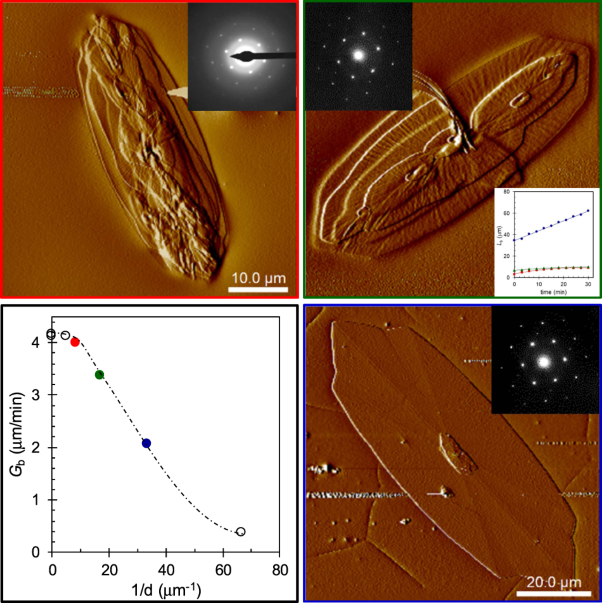 Retardation of the growth rate of the basal and overgrown lamellar crystals of PCL/PVME miscible binary blends with thickness confinement