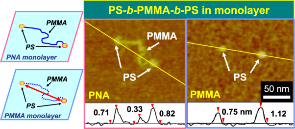 Solubilization of poly(styrene)(PS)-<i>b</i>-poly(methyl methacrylate)(PMMA)-<i>b</i>-PS in poly(<i>n</i>-nonyl acrylate) and PMMA monolayers as isolated chains with both PS blocks forming separated single-block particles