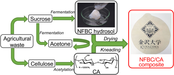 Direct synthesis of a robust cellulosic composite from cellulose acetate and a nanofibrillated bacterial cellulose sol