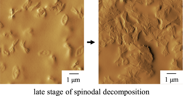 AFM observation of crystalline morphologies developed by cooperative progress with spinodal decomposition in dissimilar polycarbonate blends
