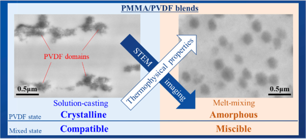 Morphological characterization of the novel fine structure of the PMMA/PVDF blend