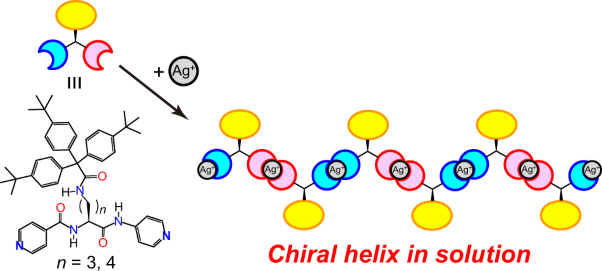 Polymerization of expanded <span class="small-caps u-small-caps">l</span>-amino acids containing terminal pyridyl groups by silver(I) ions in nonpolar solvent