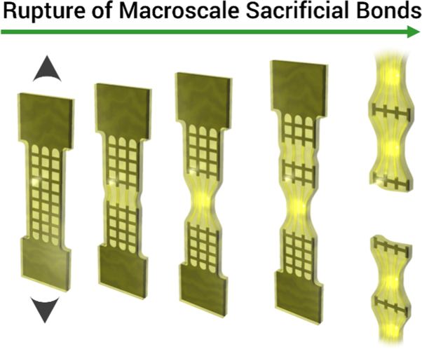 Macroscale double networks: highly dissipative soft composites