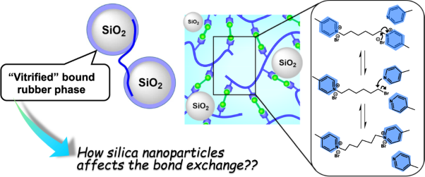 Exploring the effects of bound rubber phase on the physical properties of nano-silica composites with a vitrimer-like bond exchangeable matrix