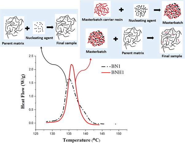 Role of the nucleating agent masterbatch carrier resin in the nonisothermal crystallization kinetics of polypropylene