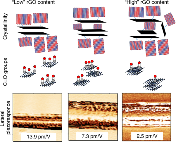 Hybrid biodegradable electrospun scaffolds based on poly(l-lactic acid) and reduced graphene oxide with improved piezoelectric response