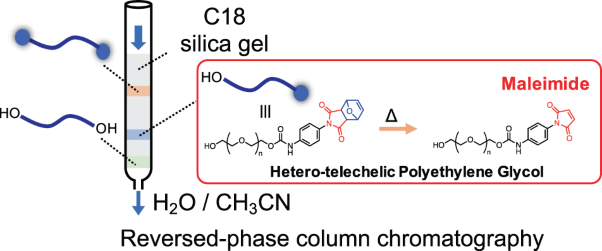 Isolation of hetero-telechelic polyethylene glycol with groups of different reactivity at the chain ends