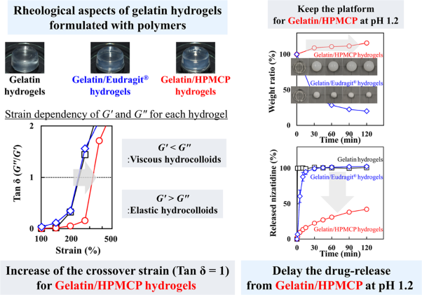 Evaluation of the rheological and rupture properties of gelatin-based hydrogels blended with polymers to determine their drug diffusion behavior